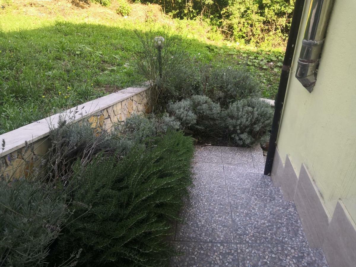 Il Roseto Bed & Breakfast Frosinone Luaran gambar